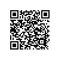 光譜鑄鐵標(biāo)樣 SCRM 670/17 到現(xiàn)貨