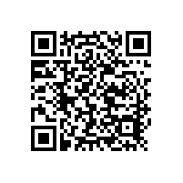 火花直讀光譜儀應(yīng)用報(bào)告影響鑄鐵樣品分析結(jié)果因素經(jīng)驗(yàn)總結(jié)