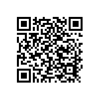 某某電子（東莞）有限公司手持式光譜儀安裝成功案例