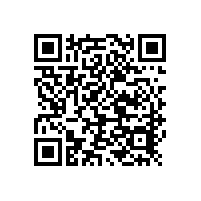 手持光譜儀xSORT在模具鋼行業(yè)應用
