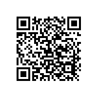 手持式光譜儀在2083模具鋼領(lǐng)域的應(yīng)用