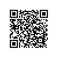 手持式光譜儀在古董應(yīng)用案例