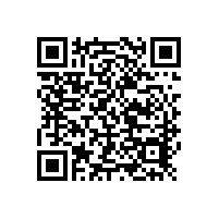 手持式光譜儀在三元催化器中的應(yīng)用