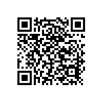 手持式合金分析光譜儀在鋁廢料回收市場應(yīng)用案例