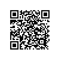 適合現(xiàn)場(chǎng)環(huán)境分析的光譜儀：xSORT在冶金中的應(yīng)用
