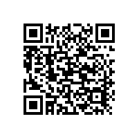SPECTROMAXX鐵基大概需要多少錢？