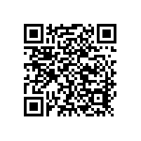 斯派克手持式分析儀在模具加工上的應(yīng)用