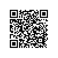 斯派克直讀光譜儀LABs助力廣州某鋼板公司