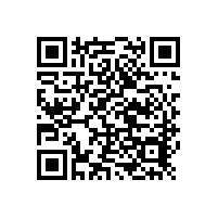 直讀光譜儀LAB S對鋁及鋁合金中釩含量的應(yīng)用