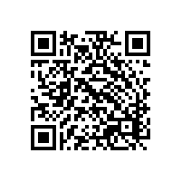 【黃花梨木家具】如何辨別海南黃花梨和越南黃花梨家具？