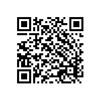 沙發(fā)維修市場：貓咪抓窗簾和沙發(fā)，有哪些值得推薦的沙發(fā)養(yǎng)護方法?