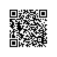 河南紅東方化工股份有限公司（第三輪）清潔生產(chǎn)審核結(jié)果匯總表