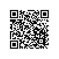 玻璃幕墻在國(guó)外的誕生與發(fā)展