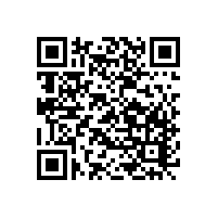 幕墻裝飾公司-中東幕墻