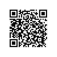 加工大豆的泡沫消除