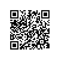 濟南安耐導條輸送帶的應用