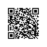 施道克（申克/STOCK）EG型給煤機皮帶，燃煤電廠不容錯過！