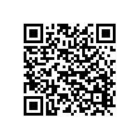 ECJ22086光控蜡烛闪芯片适配圣诞灯串电子蜡烛工厂