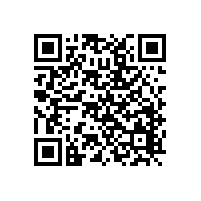 丽晶微ES6418-84FE09：1小时循环定时芯片