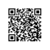 3個點固定的老年公寓衛(wèi)生間扶手-穩(wěn)固