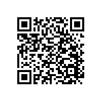 50公分長浴缸扶手,使用率高，實(shí)用性強(qiáng)