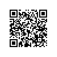 安全的衛(wèi)生間防滑扶手怎么安裝才好【藍(lán)品盾】