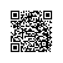 南昌-衛(wèi)生間浴室扶手的款式【藍(lán)品盾】