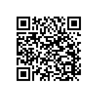 安裝殘疾人衛(wèi)生間扶手效果好不好試了才知道【藍品盾】