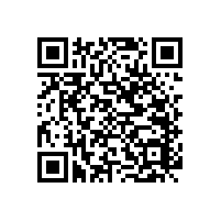 安裝多功能無障礙扶手給老人一個安心的家【藍品盾】