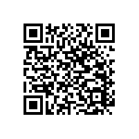 安裝老人衛(wèi)生間活動扶手架添加一份安全的保障【藍品盾】