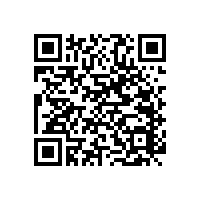 安裝馬蹄式衛(wèi)生間老人安全扶手打造舒適的衛(wèi)生間【藍(lán)品盾】