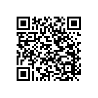 安裝尼龍無障礙衛(wèi)生間扶手打造精致的衛(wèi)浴空間【藍(lán)品盾】