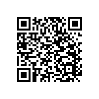 安裝衛(wèi)生間安全扶手為“安全”負責【藍品盾】