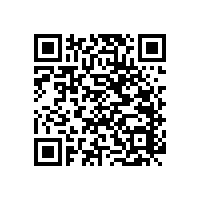 安裝衛(wèi)生間老人扶手架實(shí)用又美觀【藍(lán)品盾】