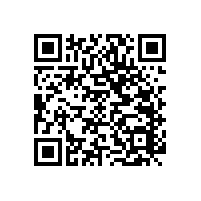 安裝無障礙殘疾人衛(wèi)生間扶手有多少款式？【藍(lán)品盾】