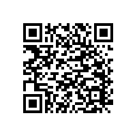 不銹鋼靠墻扶手美觀精細(xì)【藍(lán)品盾】