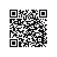 不銹鋼馬桶扶手-看看客戶選擇的哪幾款？