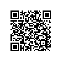 不銹鋼衛(wèi)生間扶手浴室防滑小竅門【藍品盾】