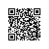 不銹鋼衛(wèi)生間門拉手-材質(zhì)細(xì)膩款式簡約【藍(lán)品盾】