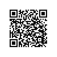 便于老人的廁所扶手簡(jiǎn)單的款式怎么這么實(shí)用？【藍(lán)品盾】