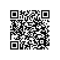 便于老人的廁所扶手-實(shí)用方便【藍(lán)品盾】