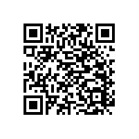 不知道衛(wèi)生間扶手哪個牌子好 有沒有好的推薦