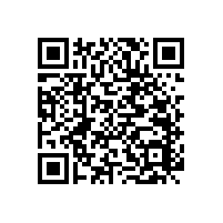 【成都】衛(wèi)浴扶手，藍(lán)品盾廠家實(shí)惠選購