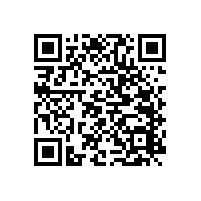 殘疾馬桶扶手【藍(lán)品盾】