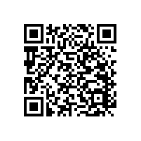 殘疾人廁所扶手-輕松使用【藍(lán)品盾】