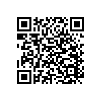 殘疾人蹲便器扶手材質(zhì)結(jié)實嗎？【藍品盾】