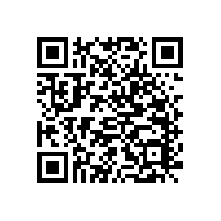 殘疾人蹲便衛(wèi)生間扶手款式簡約支持定制【藍品盾】