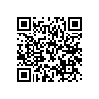 殘疾人扶手欄桿-外柔內(nèi)鋼的設(shè)計【藍品盾】