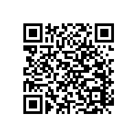 殘疾人淋浴扶手-帶呼喚器的款式有幾種【藍品盾】