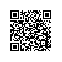 殘疾人上廁所的扶手可滿足狹小空間【藍(lán)品盾】